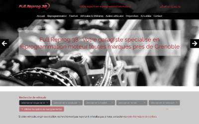Website preview for Full Reprogrammation 38