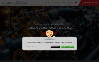Website preview for Bray Reprog
