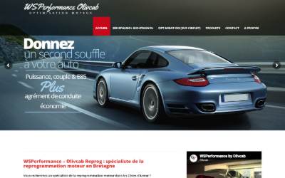Top of the website for Wsperformance 27