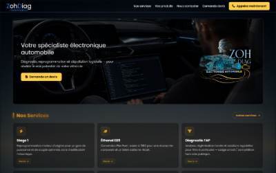 Top of the website for ZohDiag performance