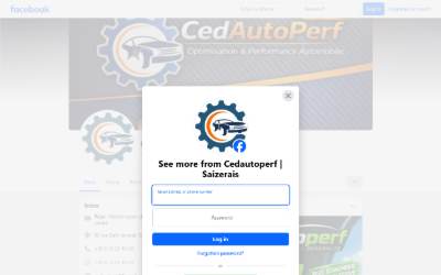 Top of the website for Reprogrammation CedAutoPerf