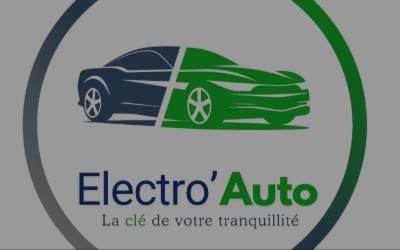 Website preview for Electro'auto Lille