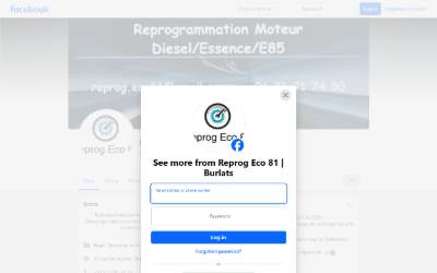 Top of the website for Reprog Eco 81