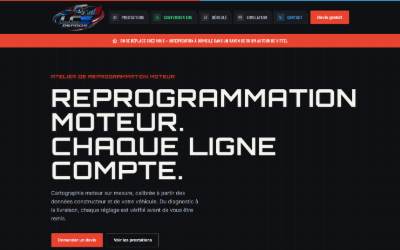 Top of the website for LCS Reprog