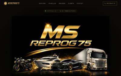 Top of the website for Msreprog75