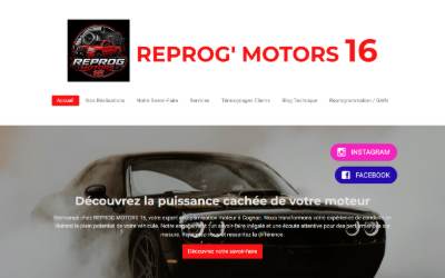 Top of the website for REPROG MOTORS 16