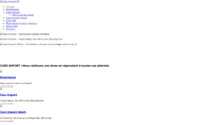 Top of the website for Cars Import