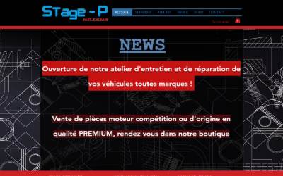 Website preview for STAGE-P