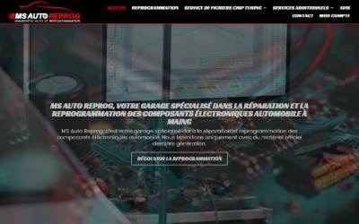 Top of the website for MS Auto Reprog
