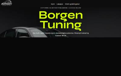 Top of the website for Borgen Tuning