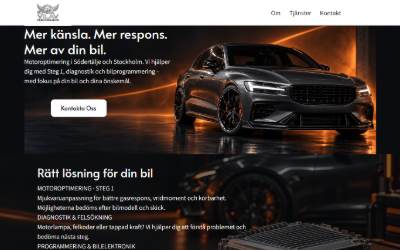 Top of the website for Vilav Performance