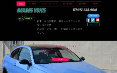 Website preview for VOICE.co