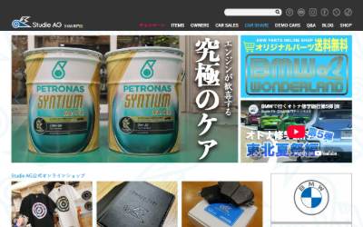 Website preview for StudieAG