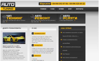 Top of the website for Tuning-Chip