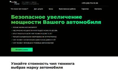 Top of the website for TopChip