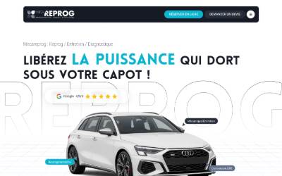 Top of the website for Meca Reprog
