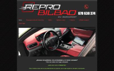 Top of the website for ReproBilbao