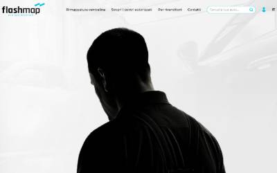 Top of the website for FlashMap