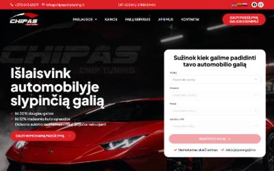 Top of the website for Chipas