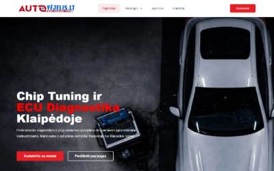 Top of the website for AutoVejelis