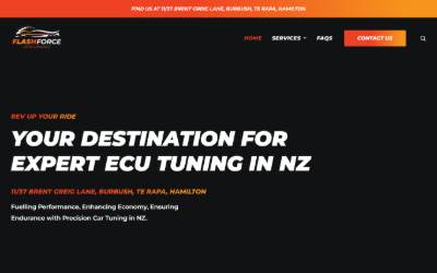 Website preview for Flash Force Performance