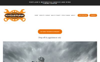 Website preview for Cycletune