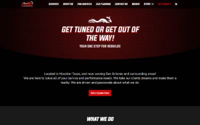 Website preview for Steadfast Performance SA
