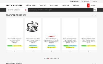Website preview for PTUNING