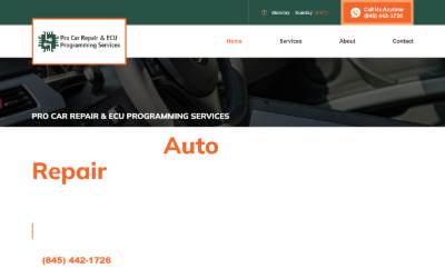 Website preview for Pro Car Repair & ECU Programming Services
