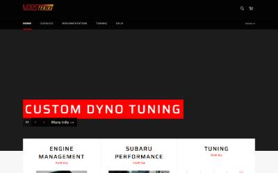 Website preview for VEMS