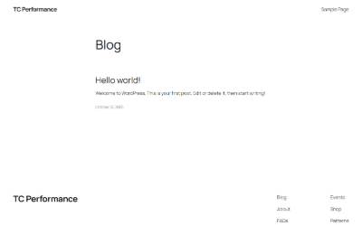Website preview for TC PERFORMANCE SA