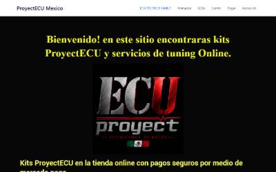 Website preview for DOCTUNED. Wiring to ecu and High Performance service