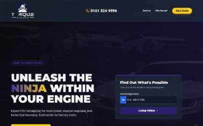 Website preview for Torque Ninjas
