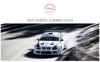 Website preview for Enfield Customs