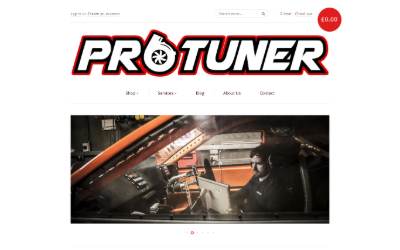 Website preview for Protuner