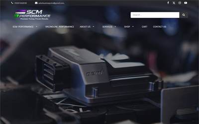Website preview for SCM Remaps