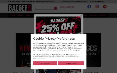 Website preview for Badger5