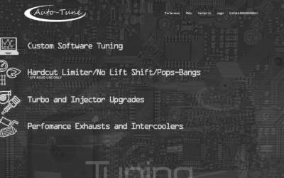 Website preview for Auto-Tune NI