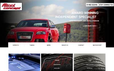 Website preview for Ricci Concept