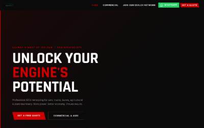 Website preview for Galway Remapping