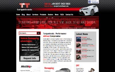 Website preview for Torquetronix