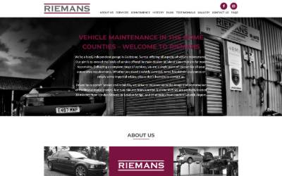 Top of the website for Riemans LTD