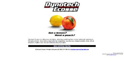 Top of the website for Dynotechs Ltd