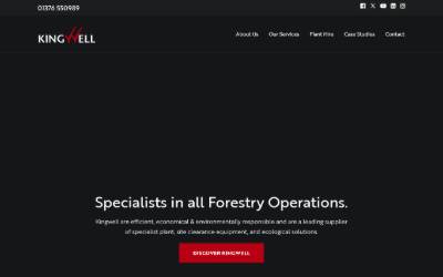 Website preview for Kingwell Holdings LTD