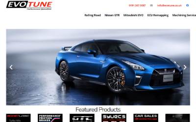 Website preview for Evotune