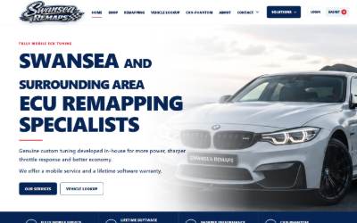 Website preview for Swansea Remaps