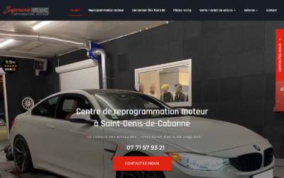 Website preview for REPROGRAMMATION MOTEUR / SOLUTION AD BLUE FAP EGR OFF / CONVERSION ÉTHANOL À DOMICILE entre NICE 06 et FREJUS 83