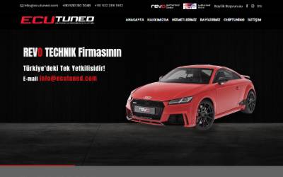 Website preview for ECUTUNED Aydin Didim