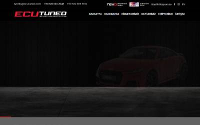 Website preview for ECUTUNED Erzincan