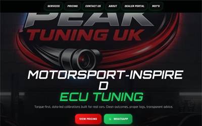 Website preview for Peak Performance